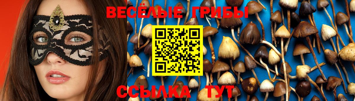 Псилоцибиновые грибы Psilocybine cubensis  Вход с VPN  Красноярск  Галлюциногенные грибы Psilocybe 